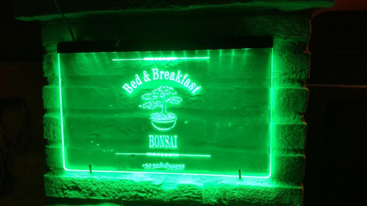 Bonsai Bed & Breakfast Fiumicino Rum bild