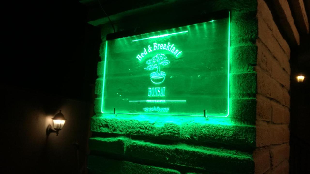 Bonsai Bed & Breakfast Fiumicino Rum bild